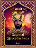 Sagan af Sjabeddín fróða (Þúsund og ein nótt 10) (eBook, ePUB)