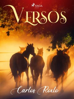 Cover Versos (eBook, ePUB)