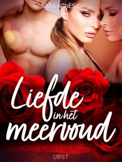 Liefde in het meervoud - Erotisch verhaal (eBook, ePUB) Cover Liefde in het meervoud - Erotisch verhaal (eBook, ePUB)