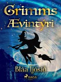 Bláa ljósið (eBook, ePUB)