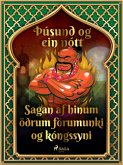 Sagan af hinum öðrum förumunki og kóngssyni (Þúsund og ein nótt 31) (eBook, ePUB)