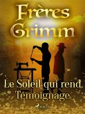 Le Soleil qui rend Témoignage (eBook, ePUB)