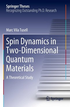 Spin Dynamics in Two-Dimensional Quantum Materials - Vila Tusell, Marc