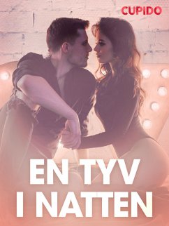 En tyv i natten - erotiske noveller (eBook, ePUB) - Cupido