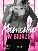 Kamerka w biurze – opowiadanie erotyczne (eBook, ePUB)