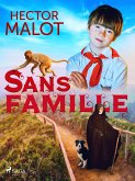 Sans Famille (eBook, ePUB)