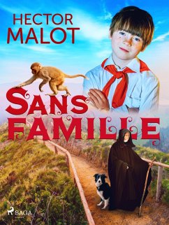 Cover Sans Famille (eBook, ePUB)