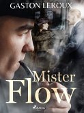 Mister Flow (eBook, ePUB)