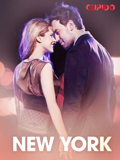 Cover New York - erotiske noveller (eBook, ePUB)