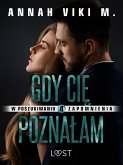 W poszukiwaniu zapomnienia 4: Gdy Cię poznałam – opowiadanie erotyczne (eBook, ePUB)