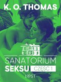 Sanatorium Seksu 1: Igor – seria erotyczna (eBook, ePUB)