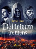 Delirium tremens (eBook, ePUB)