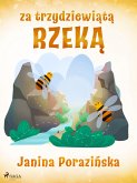 Za trzydziewiątą rzeką (eBook, ePUB)