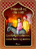 Garðyrkjumaðurinn, sonur hans og asninn (Þúsund og ein nótt 11) (eBook, ePUB)