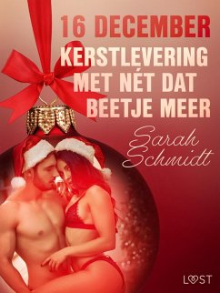 16 december: Kerstlevering met nét dat beetje meer - een erotische adventskalender (eBook, ePUB) - Schmidt, Sarah