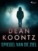 Spiegel van de ziel (eBook, ePUB)