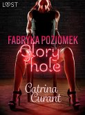 Fabryka Poziomek: Glory hole – opowiadanie erotyczne (eBook, ePUB)