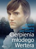 Cierpienia młodego Wertera (eBook, ePUB)