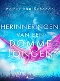 Herinneringen van een domme jongen (eBook, ePUB)