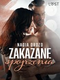 Zakazane spojrzenia – opowiadanie erotyczne (eBook, ePUB)