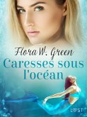 Caresses sous l'océan - Une nouvelle érotique (eBook, ePUB)