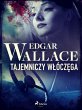 Tajemniczy wlóczega (eBook, ePUB) - Bild 1