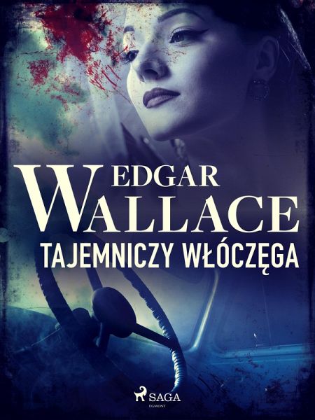 Tajemniczy wlóczega (eBook, ePUB)