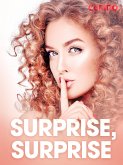 Surprise, surprise – erotiske noveller (eBook, ePUB)