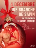 4 décembre : Une branche de sapin - Un calendrier de l'Avent érotique (eBook, ePUB)