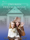 Dworek pod Malwami 47 - Zazdrość (eBook, ePUB)