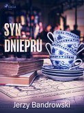 Syn Dniepru (eBook, ePUB)