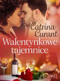 Walentynkowe tajemnice – opowiadanie erotyczne (eBook, ePUB)