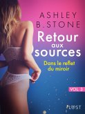 Retour aux sources vol. 3 : Dans le reflet du miroir - Une nouvelle érotique (eBook, ePUB)