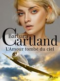 L'Amour tombé du ciel (eBook, ePUB)