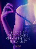 12 hete en spannende verhalen van Erika Lust (eBook, ePUB)