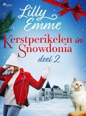 Kerstperikelen in Snowdonia - deel 2 (eBook, ePUB)