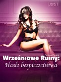 Wrześniowe ruiny: Hasło bezpieczeństwa – opowiadanie erotyczne BDSM (eBook, ePUB)