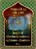 Sagan af öfundarmanninum og hinum öfundaða (Þúsund og ein nótt 32) (eBook, ePUB)