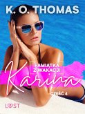 Pamiątka z wakacji 4: Karina – seria erotyczna (eBook, ePUB)