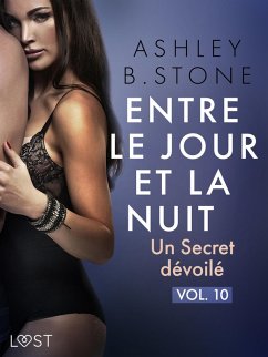 Entre le jour et la nuit 10 : Un Secret dévoilé - Une nouvelle érotique (eBook, ePUB) - Stone, Ashley B.