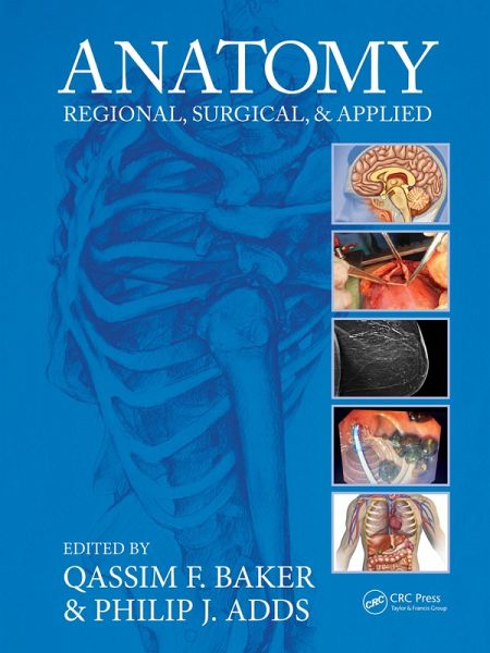 Anatomy (eBook, ePUB)