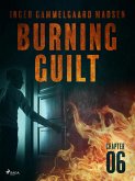Burning Guilt - Chapter 6 (eBook, ePUB)