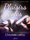 Plaisirs volés - Une nouvelle érotique (eBook, ePUB)