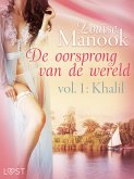 De oorsprong van de wereld, vol. 1: Khalil - Erotisch verhaal (eBook, ePUB)