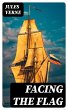 Facing the Flag (eBook, ePUB) - Bild 1