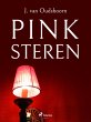 Pinksteren (eBook, ePUB) - Bild 1