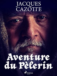 Cover Aventure du Pèlerin (eBook, ePUB)