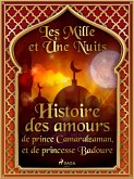 Histoire des amours de prince Camaralzaman, et de princesse Badoure (eBook, ePUB)
