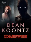 Schaduwvuur (eBook, ePUB)