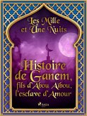 Histoire de Ganem, fils d'Abou Aïbou, l'esclave d'Amour (eBook, ePUB)